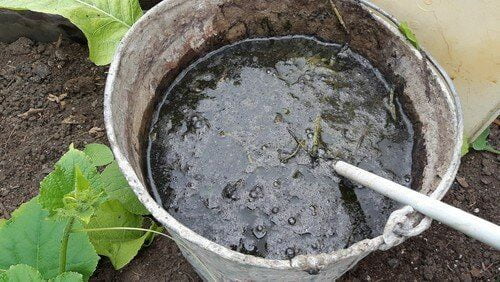 تصویر 4 از کود مرغی ژله‌ ای با آزاد سازی کنترل شده